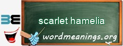 WordMeaning blackboard for scarlet hamelia